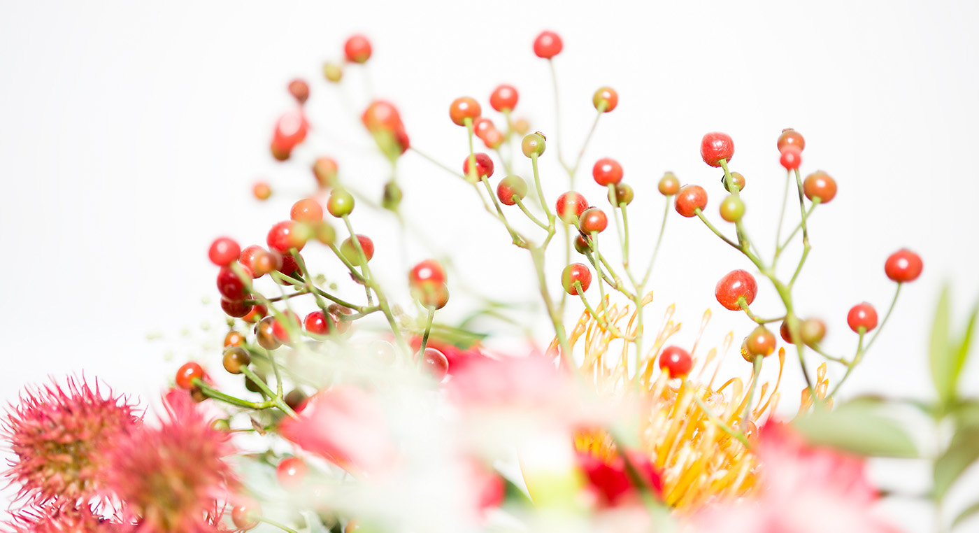 Craniosacral Tarife Bild zu Crankiosacral Tarife